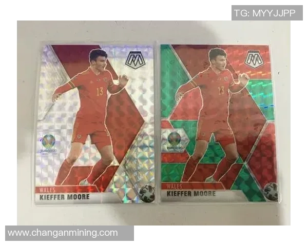 帕尼尼足球球星卡紫卡收藏价值解析及市场走势分析